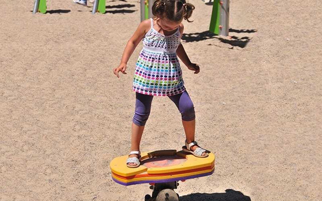 THE SURFBOARD - THE SURFBOARD - BILICI