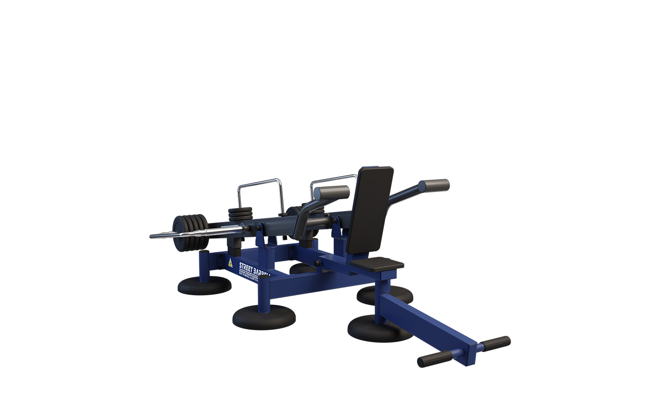 SEATED TRICEPS DIPS : 