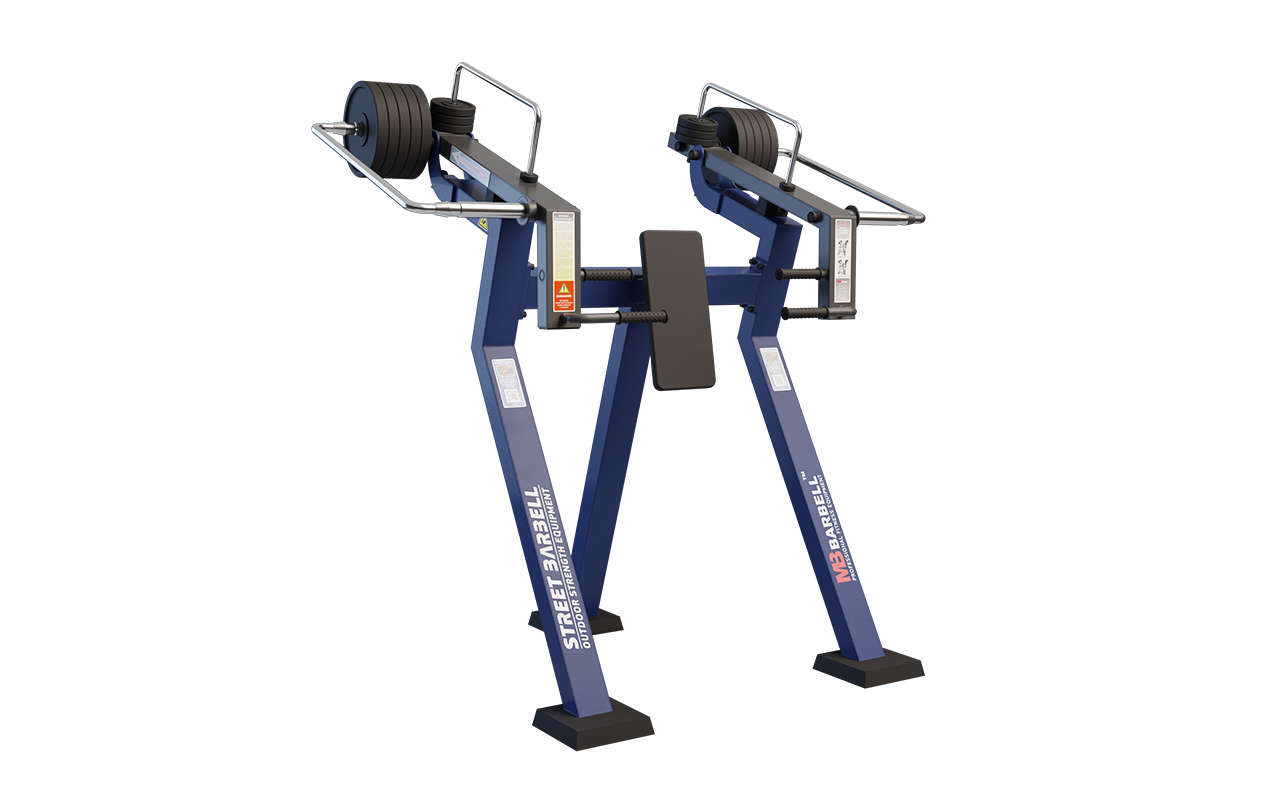 SHOULDER PRESS (IN PIEDI) : 