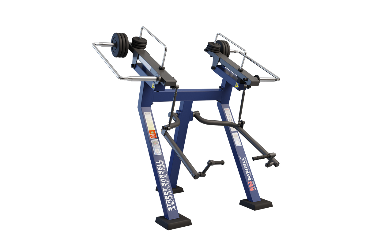 BICEPS CURL (IN PIEDI) : 