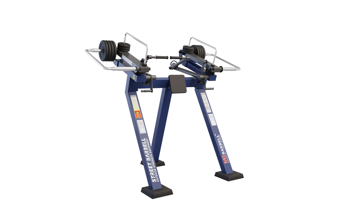 TRICEPS (IN PIEDI) : 