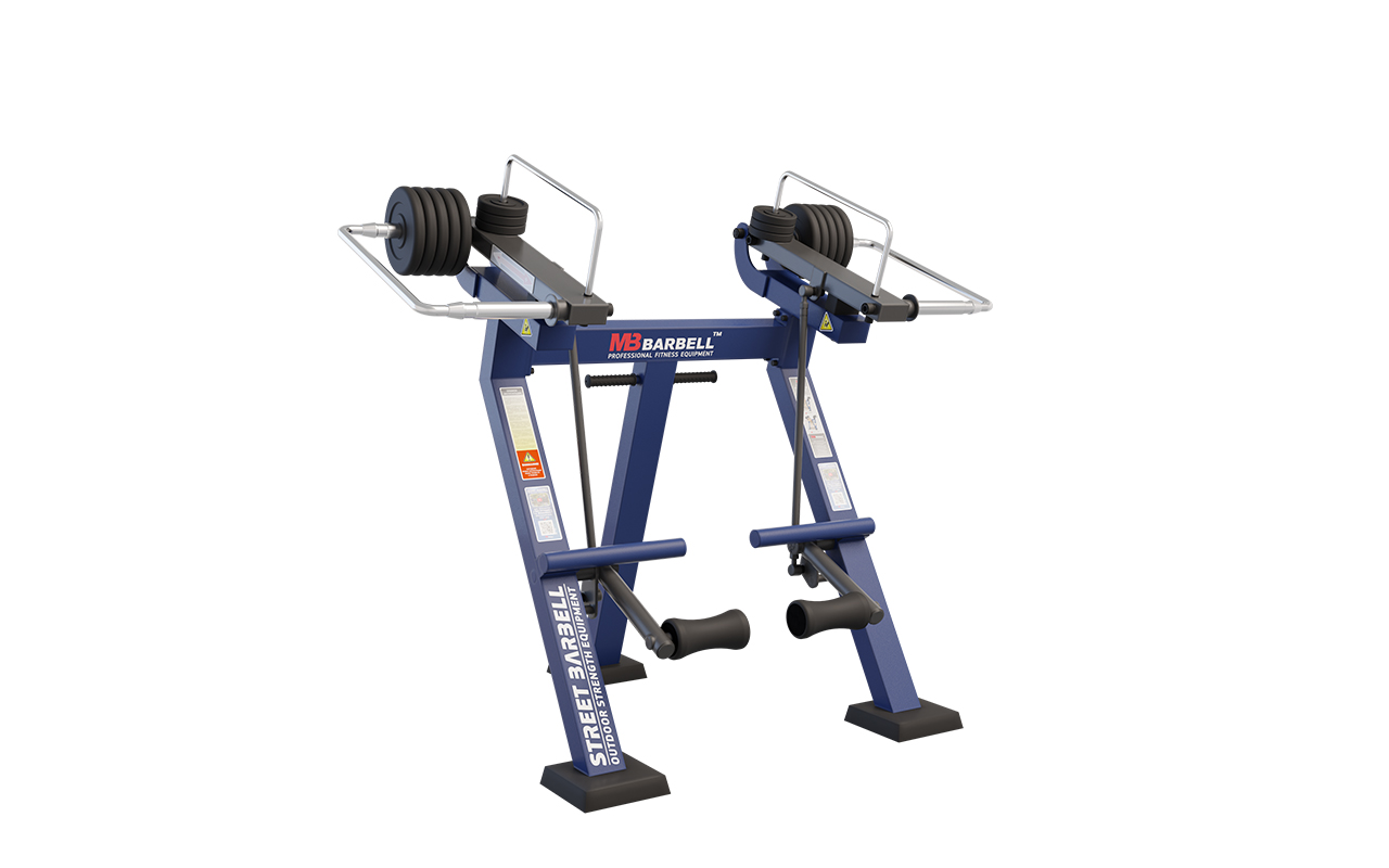 LEG EXTENSIONS (IN PIEDI) : 