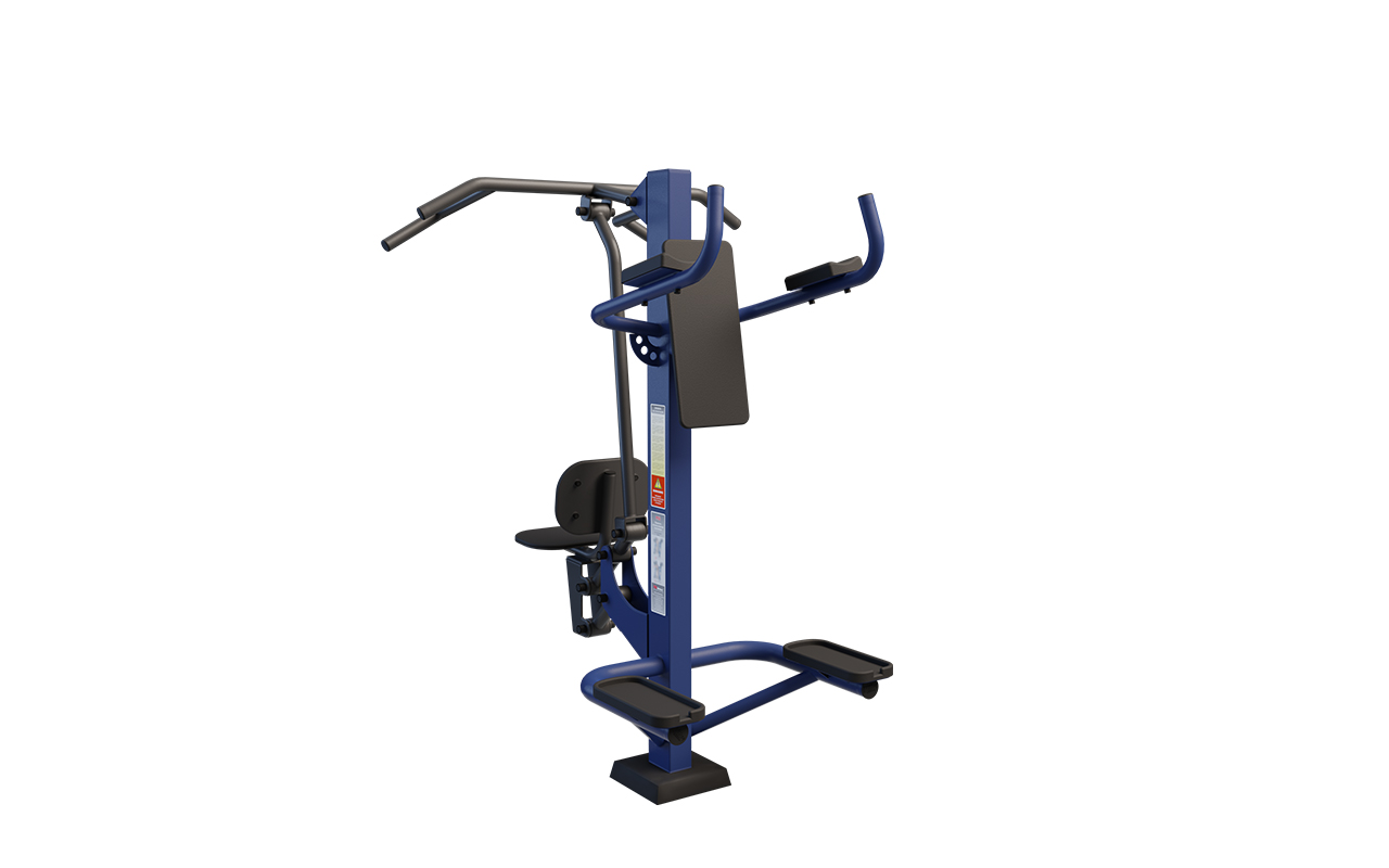 COMBINED PULL DOWN AND LEG RAISE STATION : 