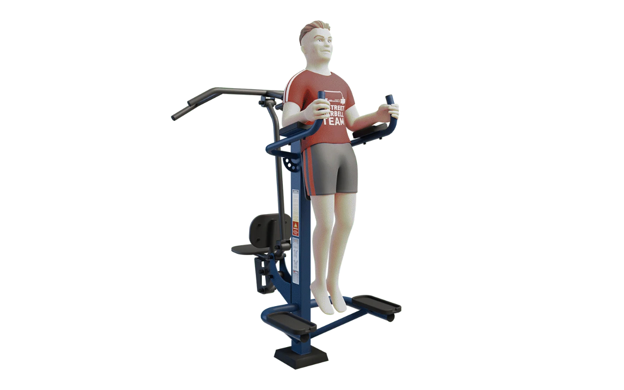 COMBINED PULL DOWN AND LEG RAISE STATION - COMBINED PULL DOWN AND LEG RAISE STATION - OUTDOOR FITNESS