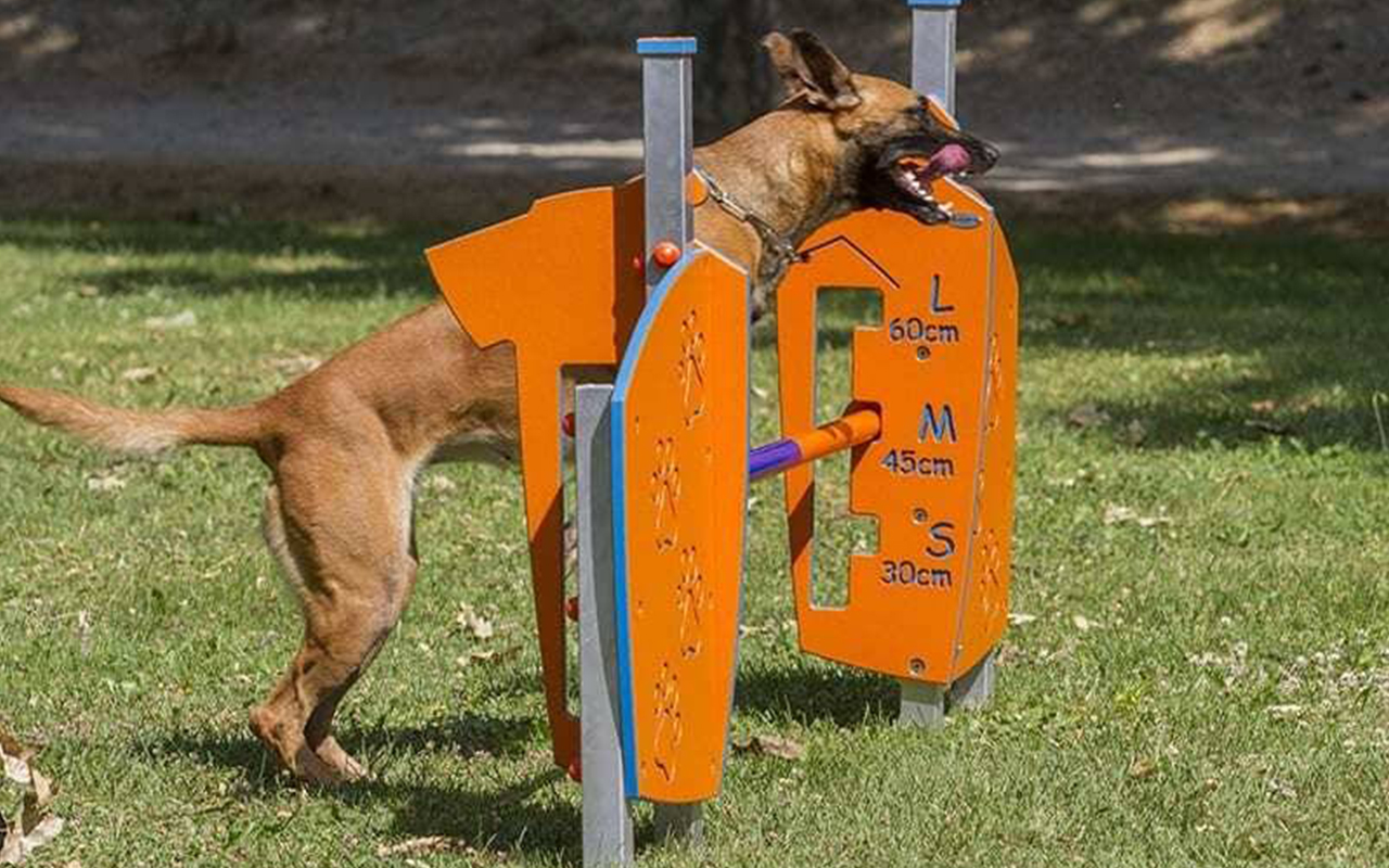 HURDLE - HURDLE - AGILITY DOG