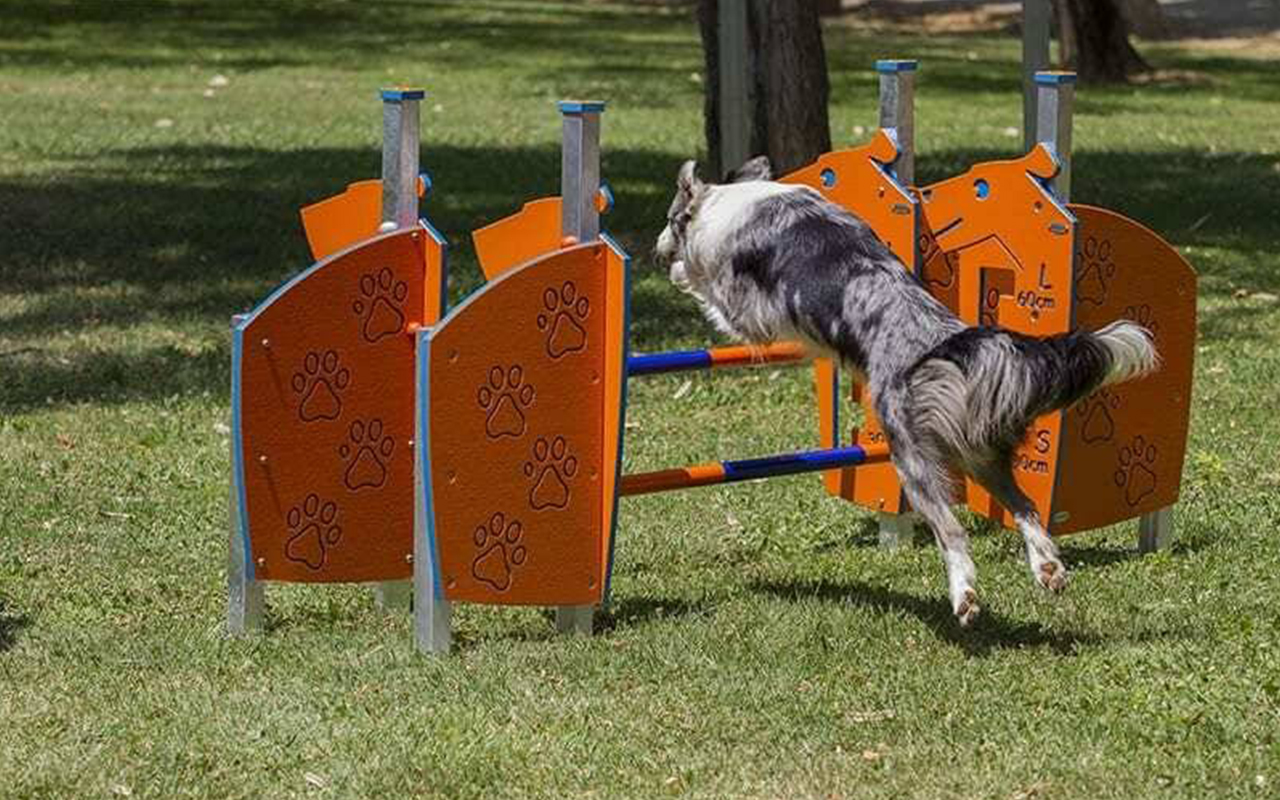 SPREAD HURDLES - SPREAD HURDLES - AGILITY DOG