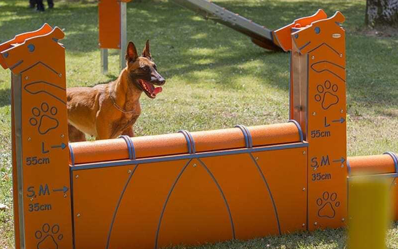 WALL L - WALL L - AGILITY DOG