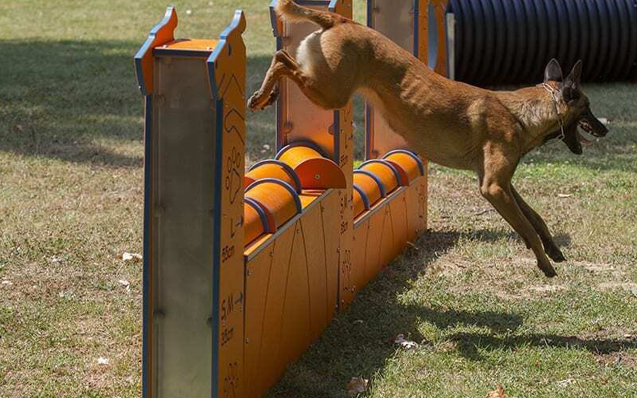 WALL L - WALL L - AGILITY DOG