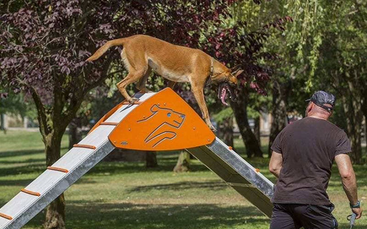 A FRAME - A FRAME - AGILITY DOG