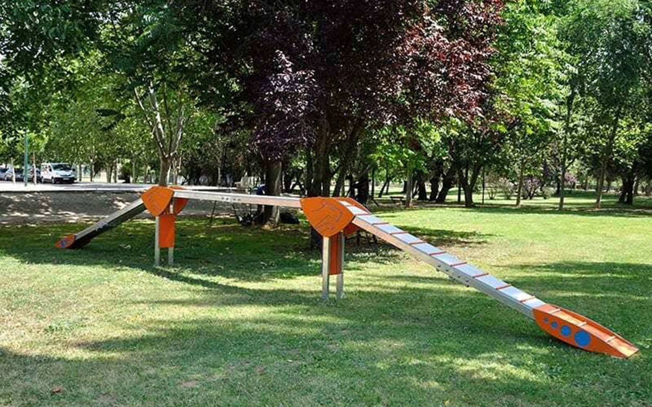 DOG WALK - DOG WALK - AGILITY DOG