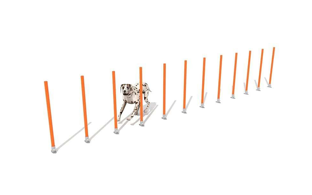SLALOM : 