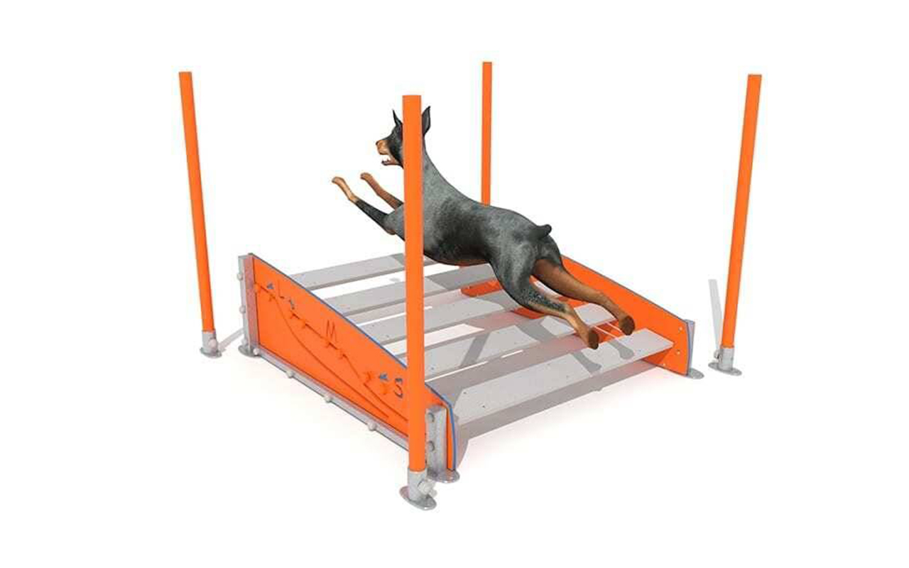 AGILITY DOG